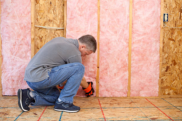 Best Insulation Replacement Services  in Springs, NY