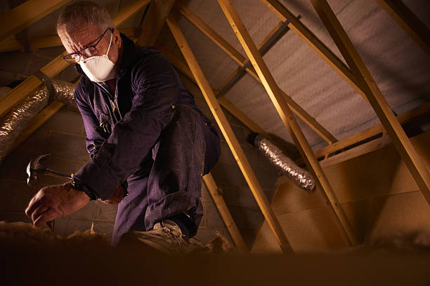Best Insulation for New Construction  in Springs, NY